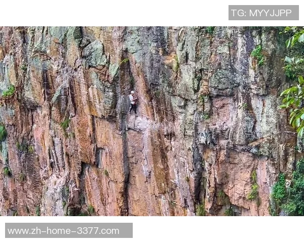 西安攀岩队的蜕变之旅极限运动嘉年华特别报道探索新高度与挑战